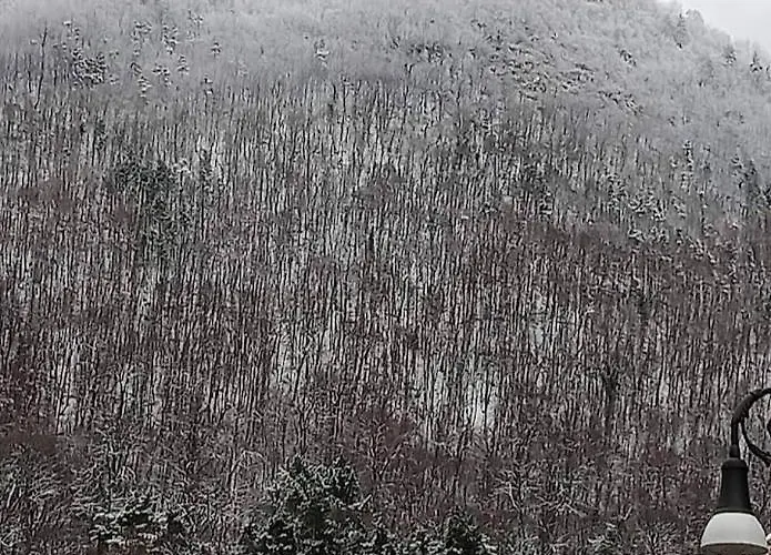 Apartment Piata Sfatului Pietonal *